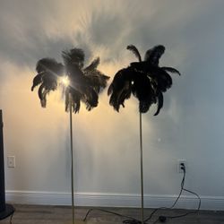 Modern Feather Black Feather Lamps OBO