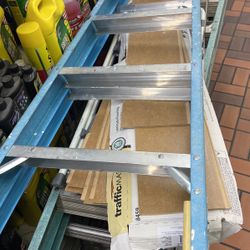 Werner 6 Foot Ladder 