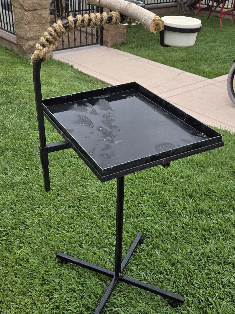 Large Parrot Stand