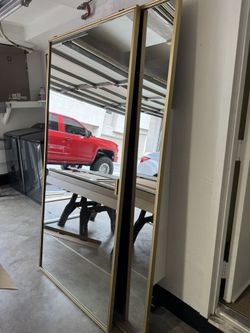 Mirror Double Closet Door