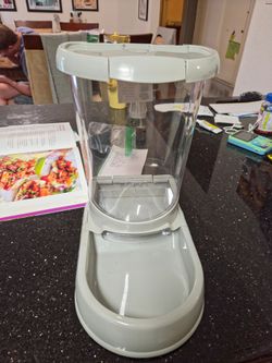 Auto feeder dog bowl