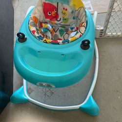 Baby Einstein