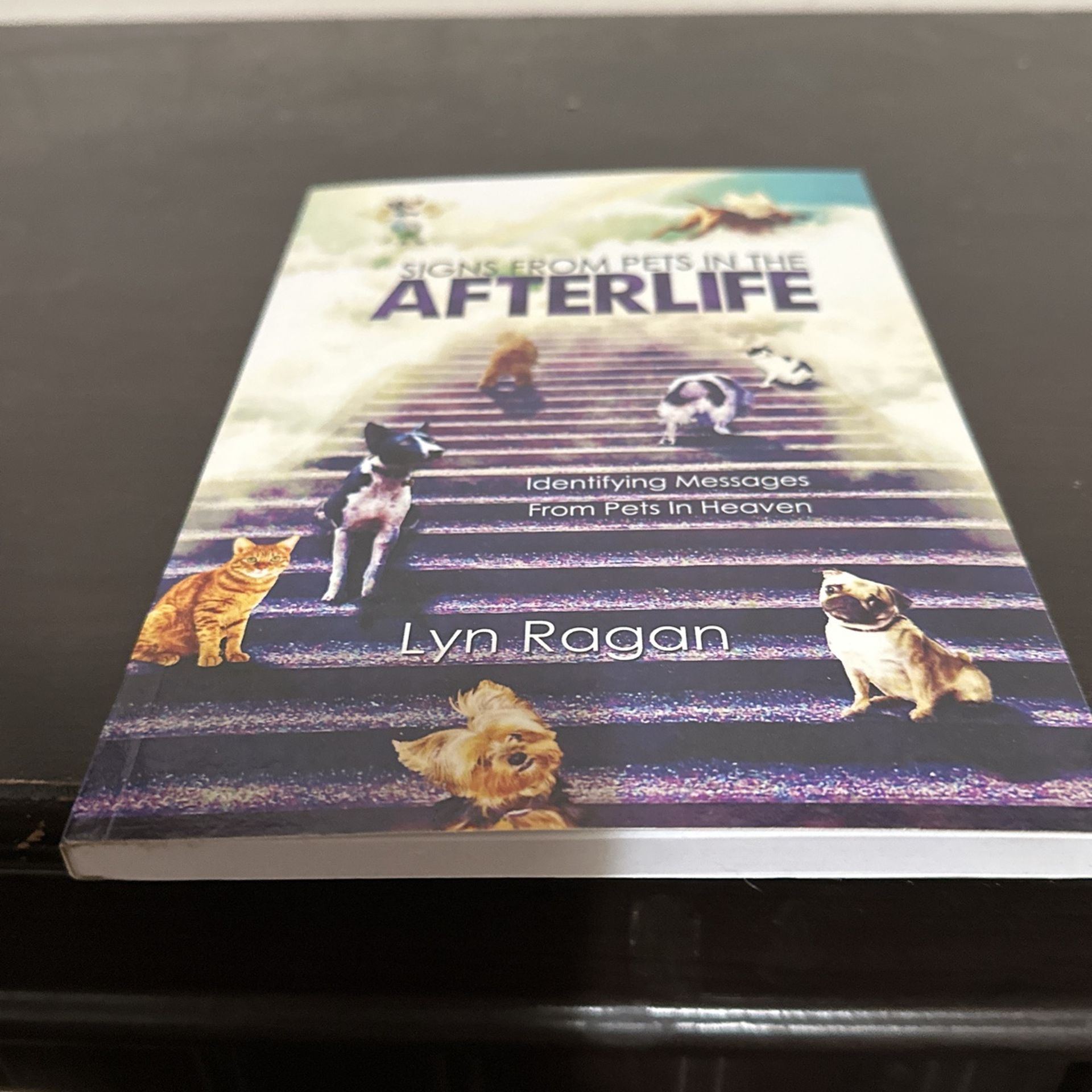 Signs From Pets In The After Life
