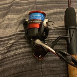 Shimano Sieanna 