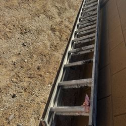 25ft Ladder