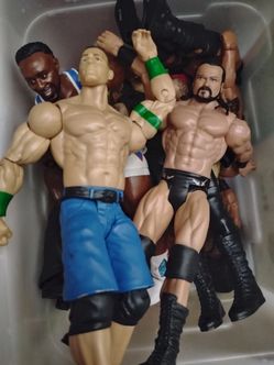 WWE wrestling action figures