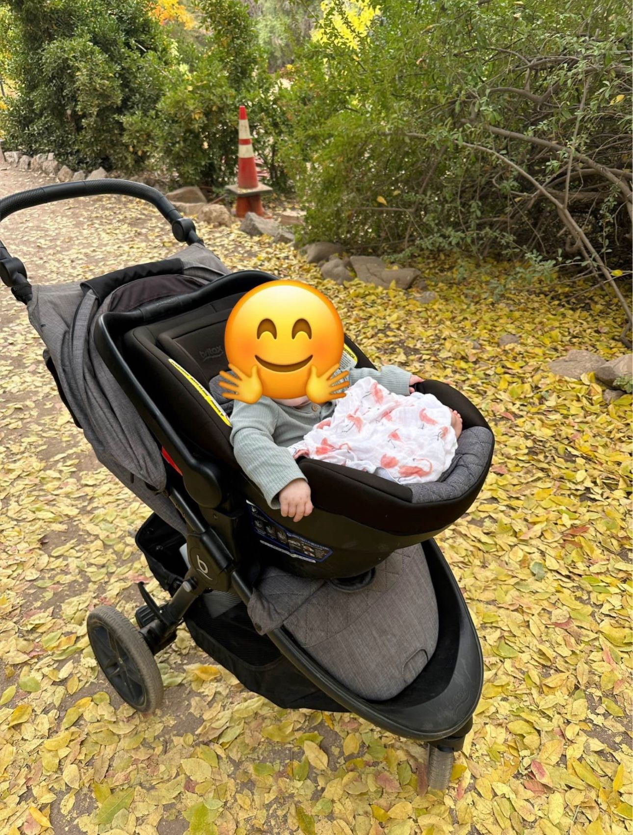 Britax B-Free Sport & B-Safe Gen2 Flexfit+ Travel System, Asher