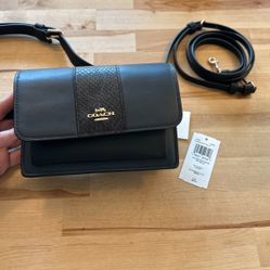 COACH Snake Embroidered Waist belt bag Purse
