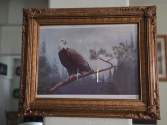 Eagle picture perfect glass front would frame