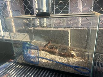10 Gallon Aquarium with Light
