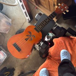 Ukulele 