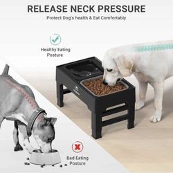 KungFuPet Elevated Dog Bowls, 2-in-1 Raised Stainless Steel Feeder