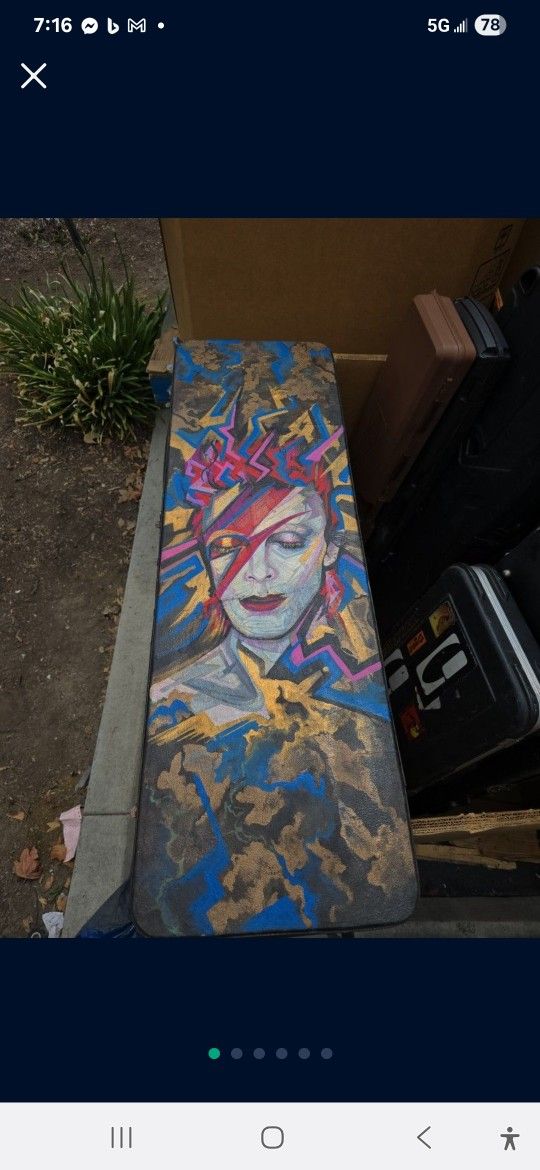 DAVID BOWEY GUITAR HARD CASE