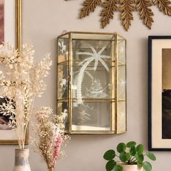 Vintage Tiered Glass Brass Curio Cabinet Etched Palm Tree Mid Century Wall Hanging Display Case 16”H Collectibles Miniature Trinkets Jewelry Holder Re