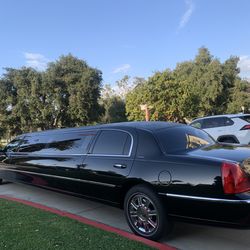10 passenger Executive Coach Limousine -MINT condition !