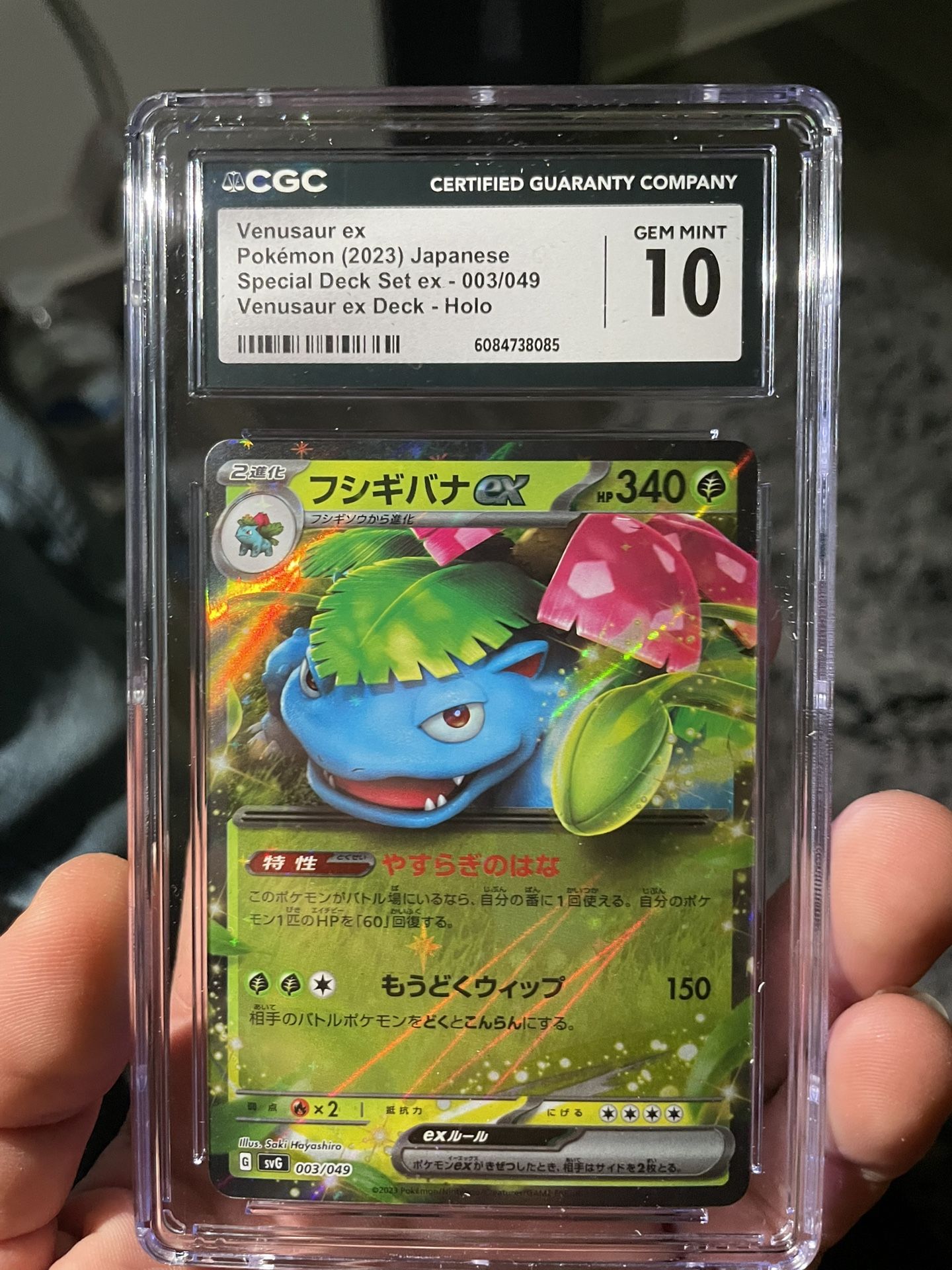 Pokemon Venesaur
