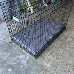 Dog Kennel 
