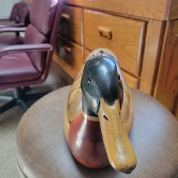 TomTaber Ducks