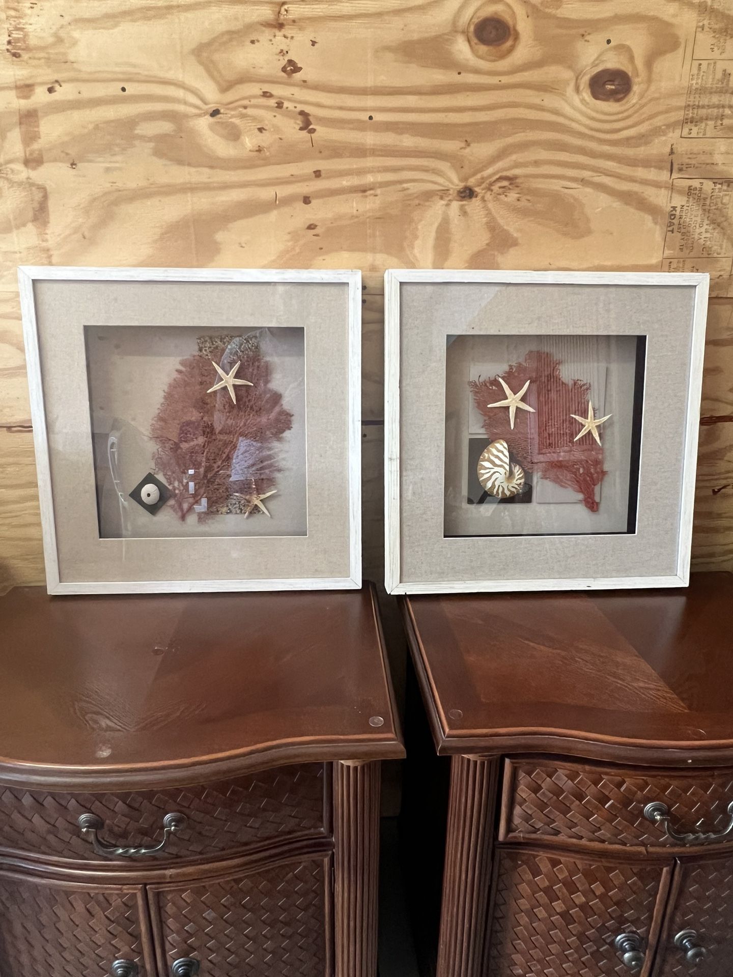 Coral Shell Shadow Box Art