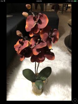 Fake orchid red in ceramic pot