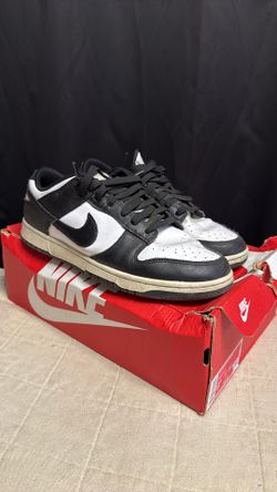 Dunks Size 9.5 