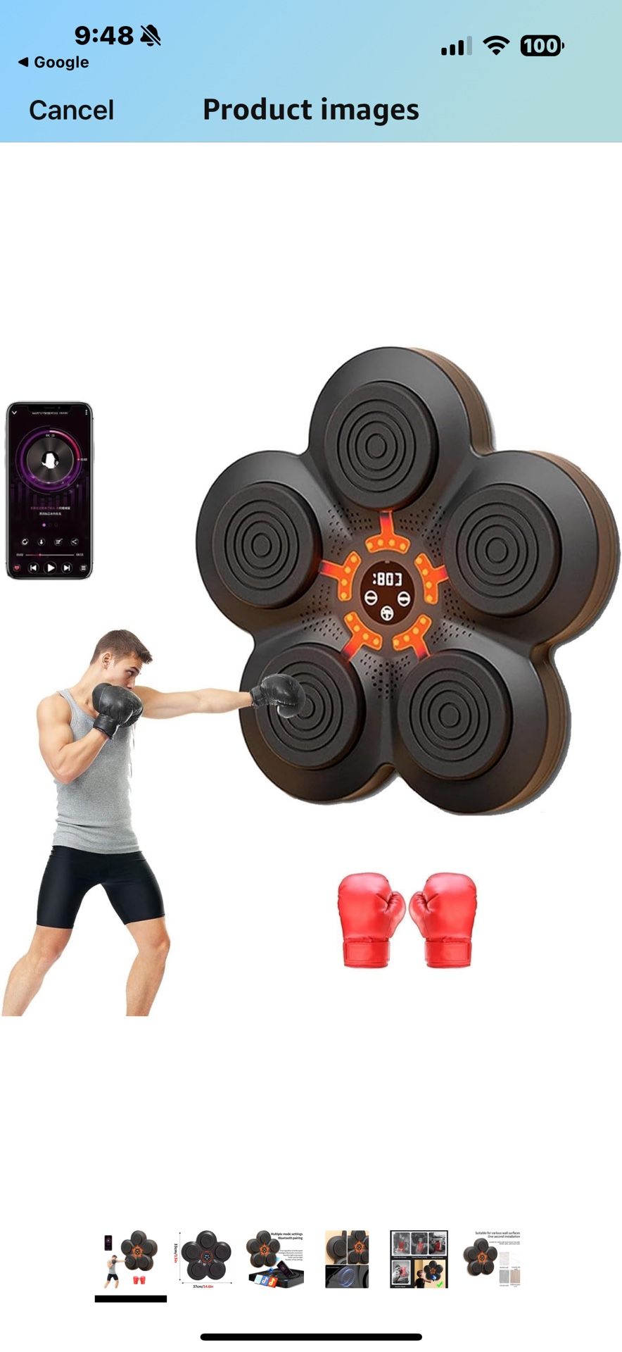 Boxing Ring Puncher