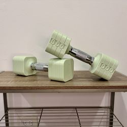 Adjustable Dumbbells 11 / 22 lb