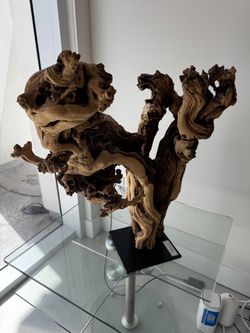 Natural Driftwood Sculpture on Black Base 26H 24W 12D