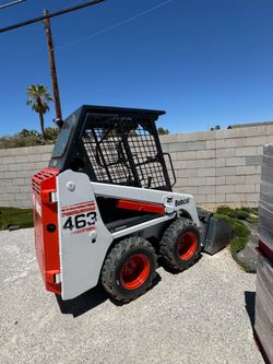 Bobcat