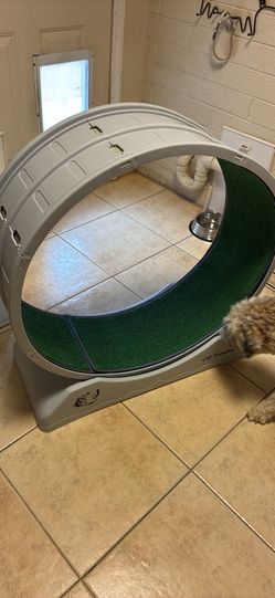 Cat treadmill