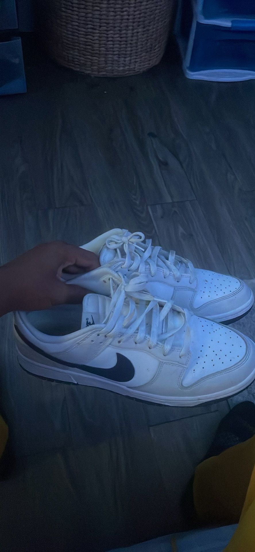 Nike dunks white and blue