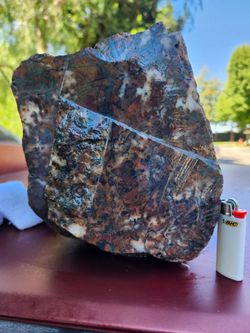 25lb. Breeciated Jasper