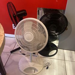 Fans 