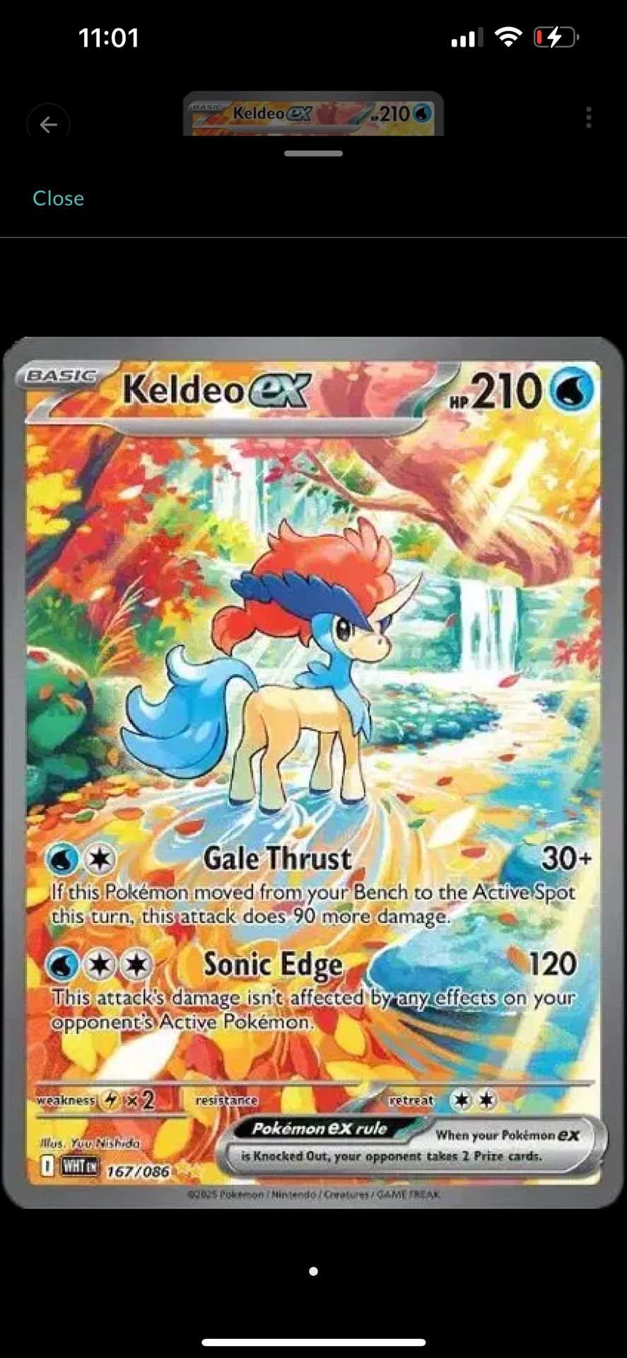 Wtb keldeo 167/086 Pokemon 