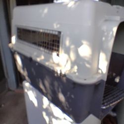 Xxxl Dog Kennel 