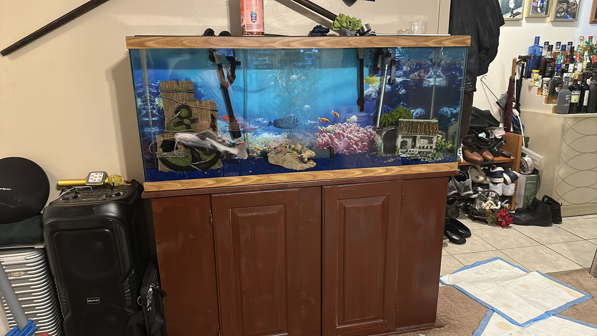 55 gallon tank with stand and tops, normal wear and tear… pick up only