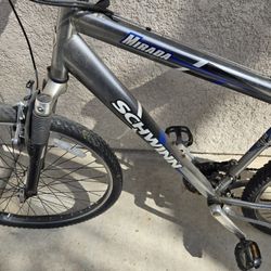 Bicycles Need Tune Up