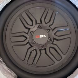 12” Subwoofer 
