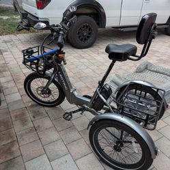 Lectric Trike XP