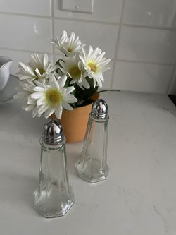 Salt And Pepper Shaker