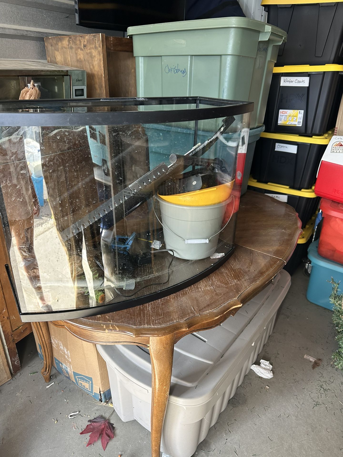 Fish Tank 