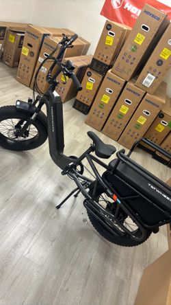 Good build cargo e-bike for pets and kids to sit on the back Ebike