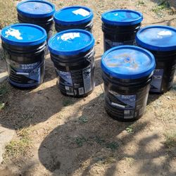 (7) 5 Gallon Empty Clean buckets ($20 for all 7)