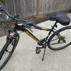 Mens' Schwinn Bicycle with Large Seat
