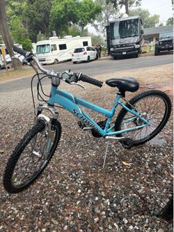 Bicycle (Schwinn)