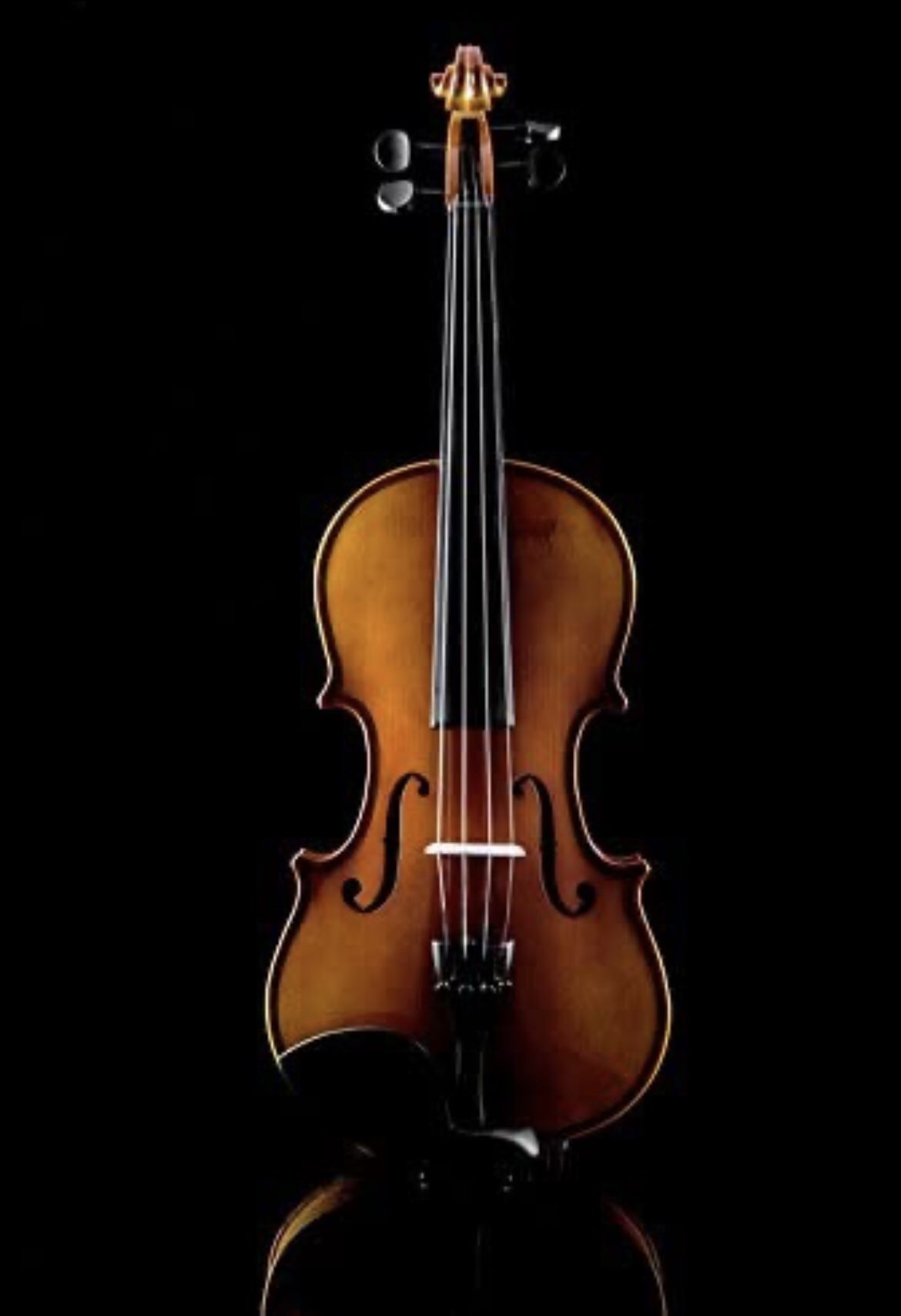 1/2 Solid Wood Violin with Case, Shoulder Rest, Bow, Rosin and Extra Strings -Black Accessory Fitted