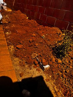 Dirt for landscaping  FREE