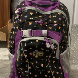Lands End Convertible Backpack 