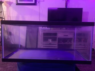 40 Gallon tank