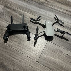 DJI mini se